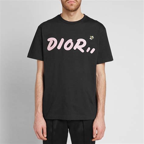 dior x kaws t shirt bee|Dior x KAWS bee.